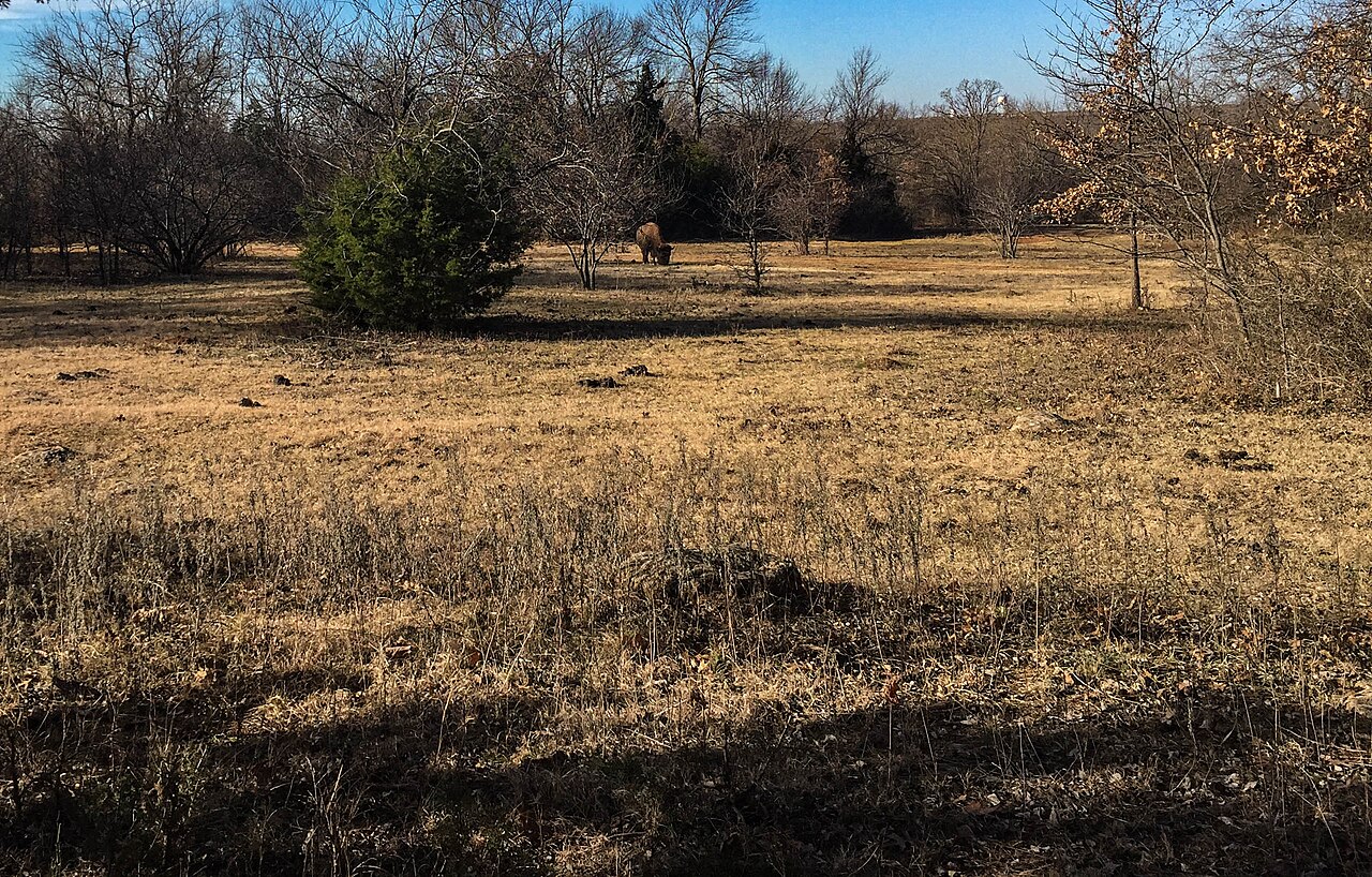 Central Group Camp (Chickasaw)