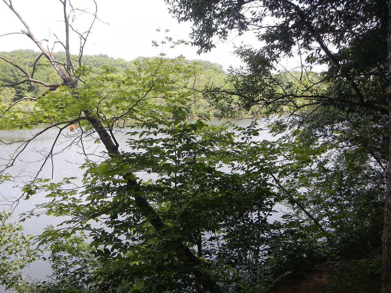 Kickapoo Campground