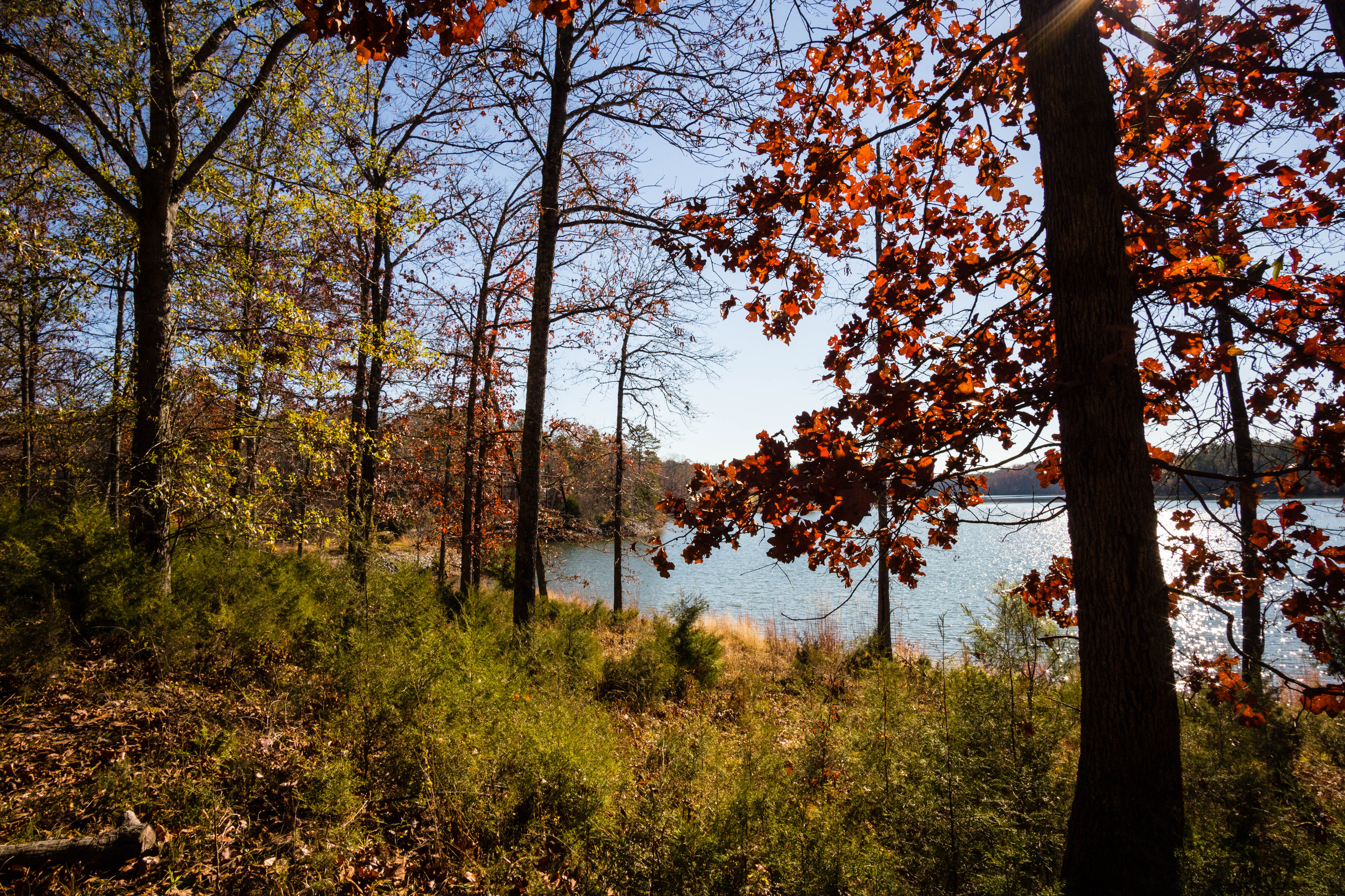 Richard B Russell State Park