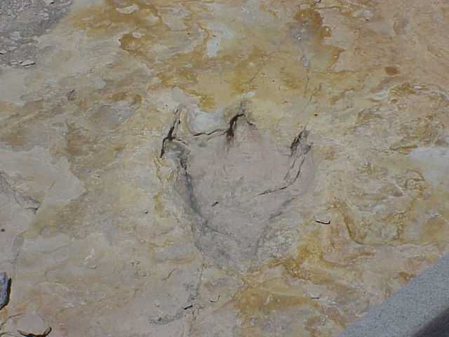 Clayton Lake State Park And Dinosaur Trackways
