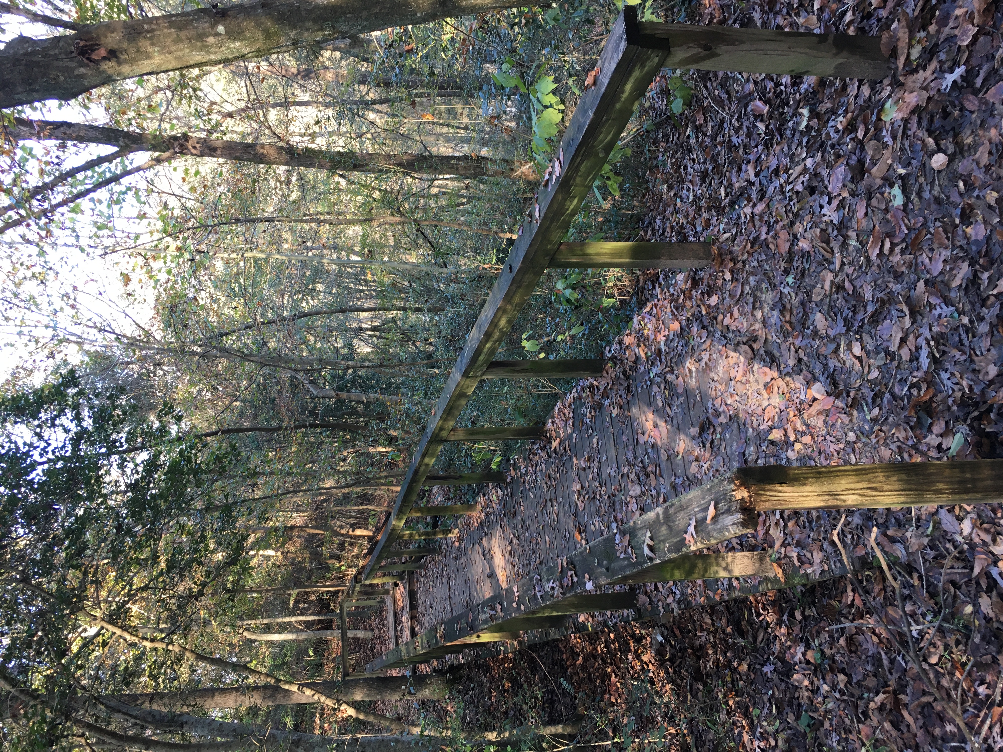 Cliffs Of The Neuse State Park