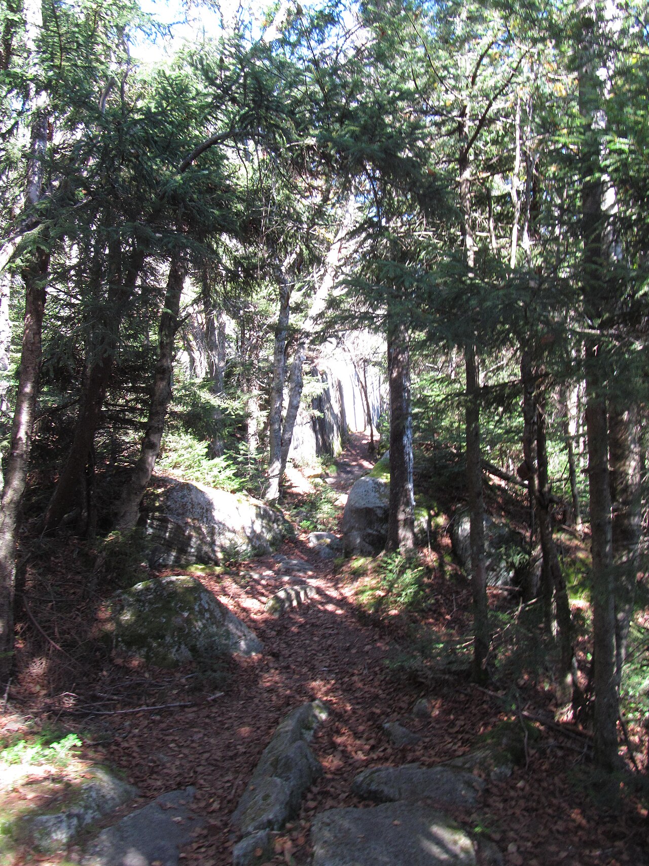 Mount Ascutney State Park