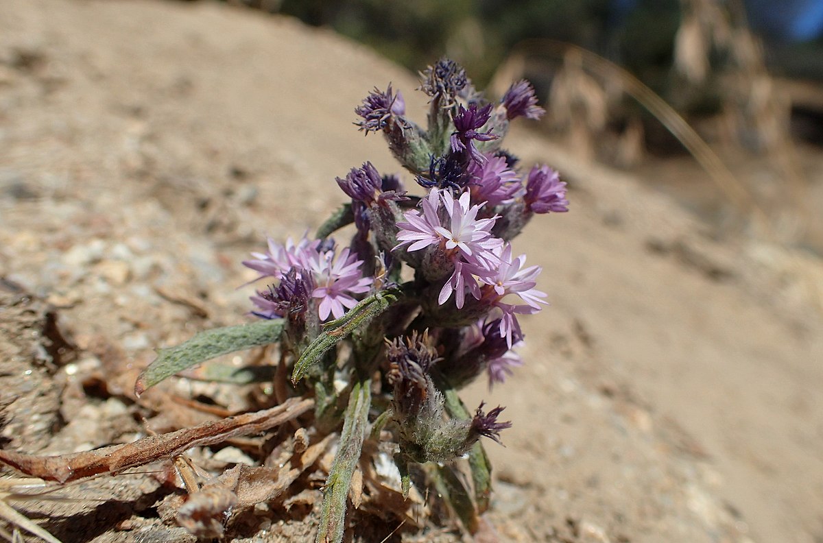Cedar Creek Campground