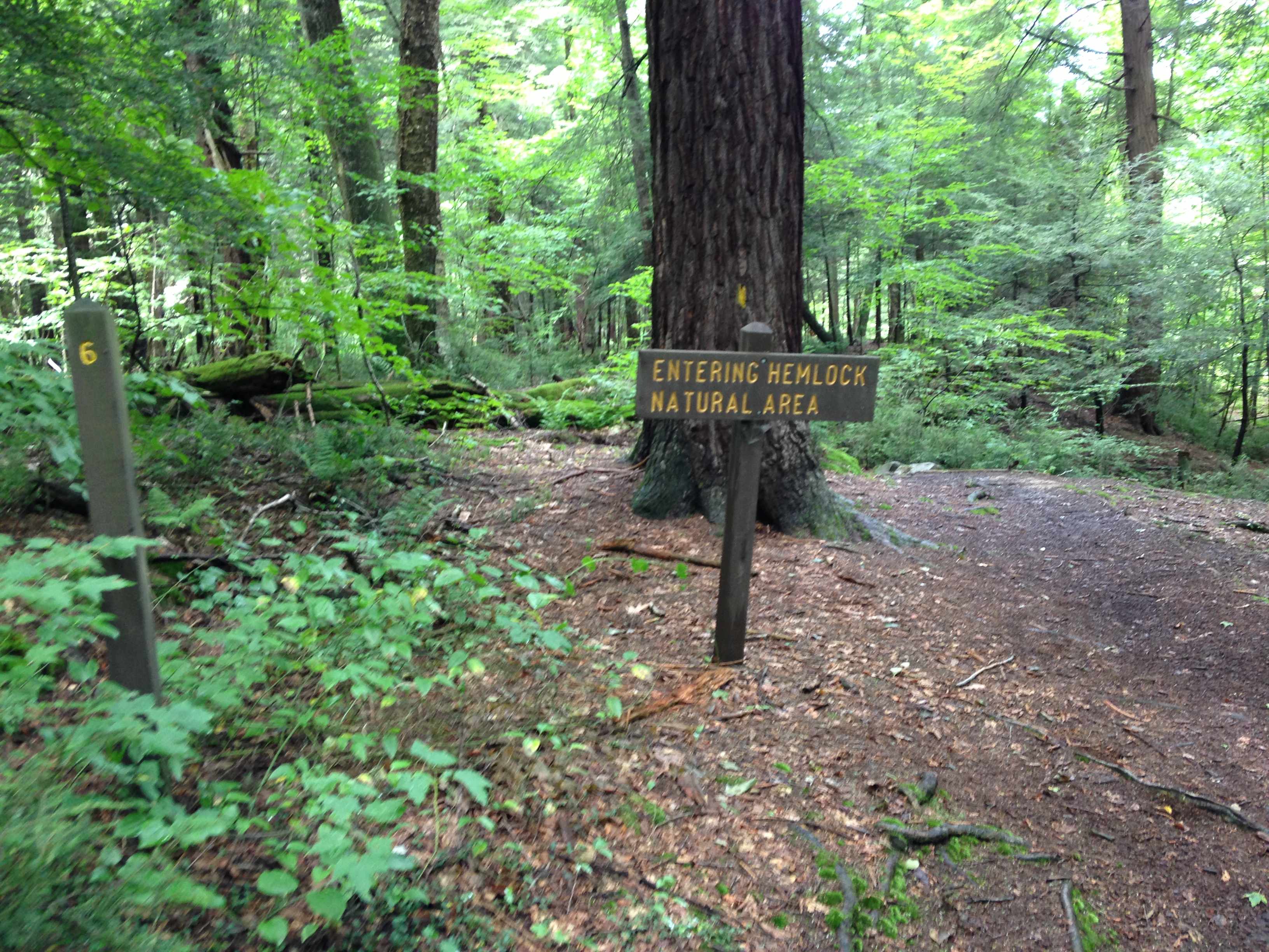 Laurel Hill State Park