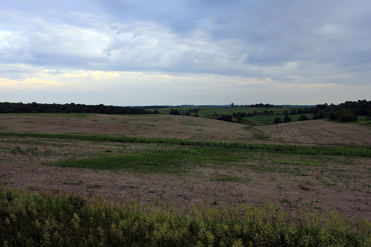 Wikimedia Commons