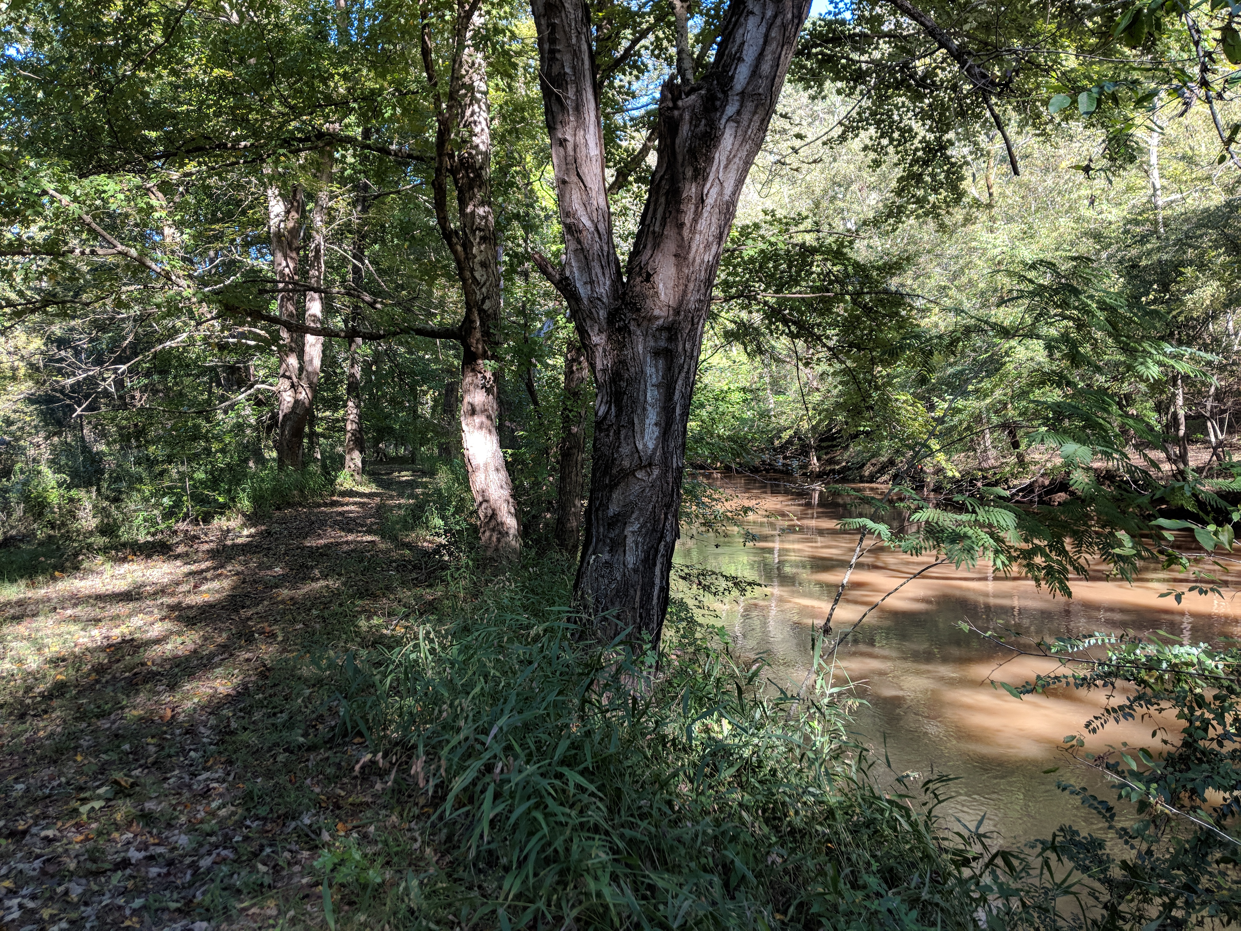 Eno River State Park