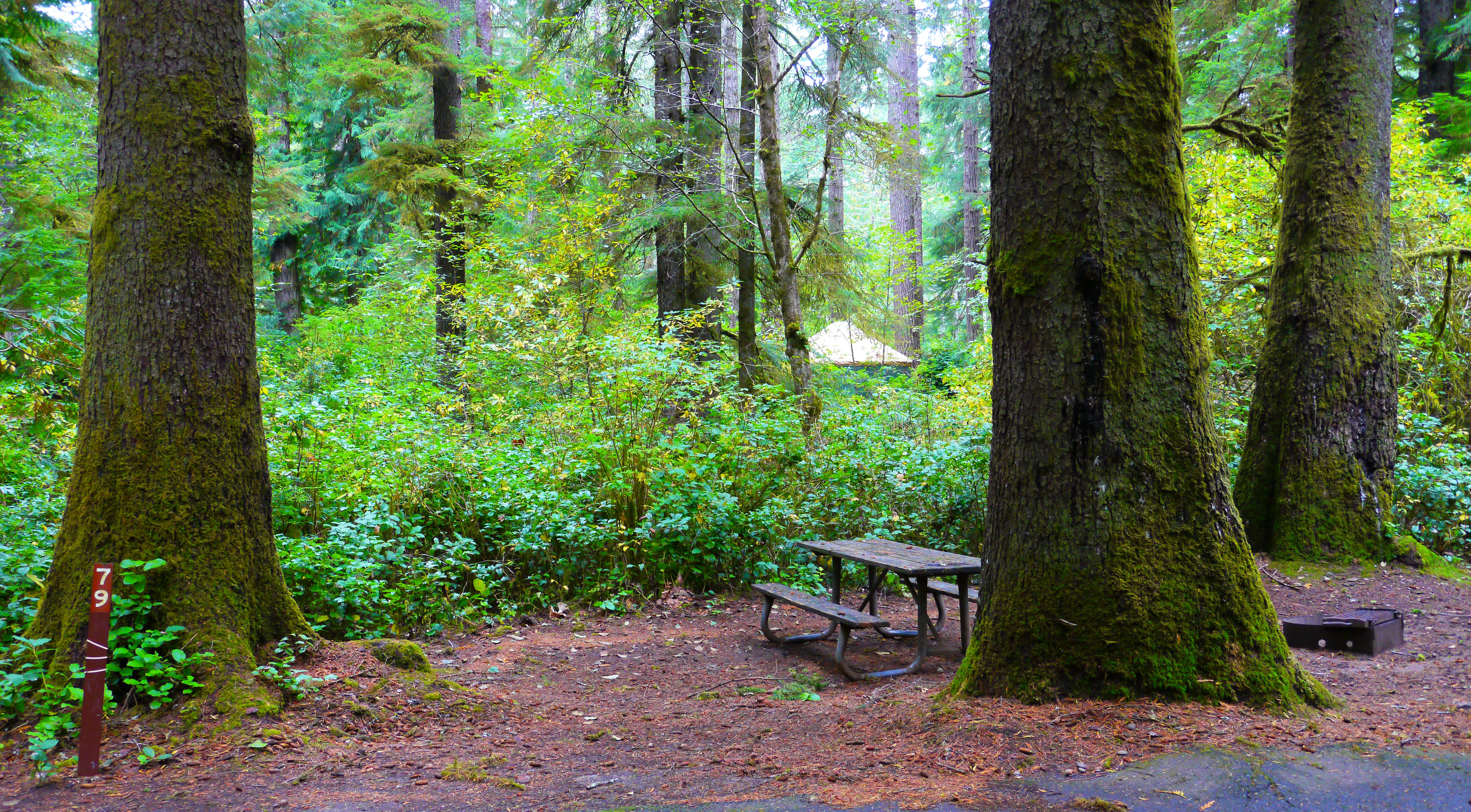 Jessie M. Honeyman Memorial State Park