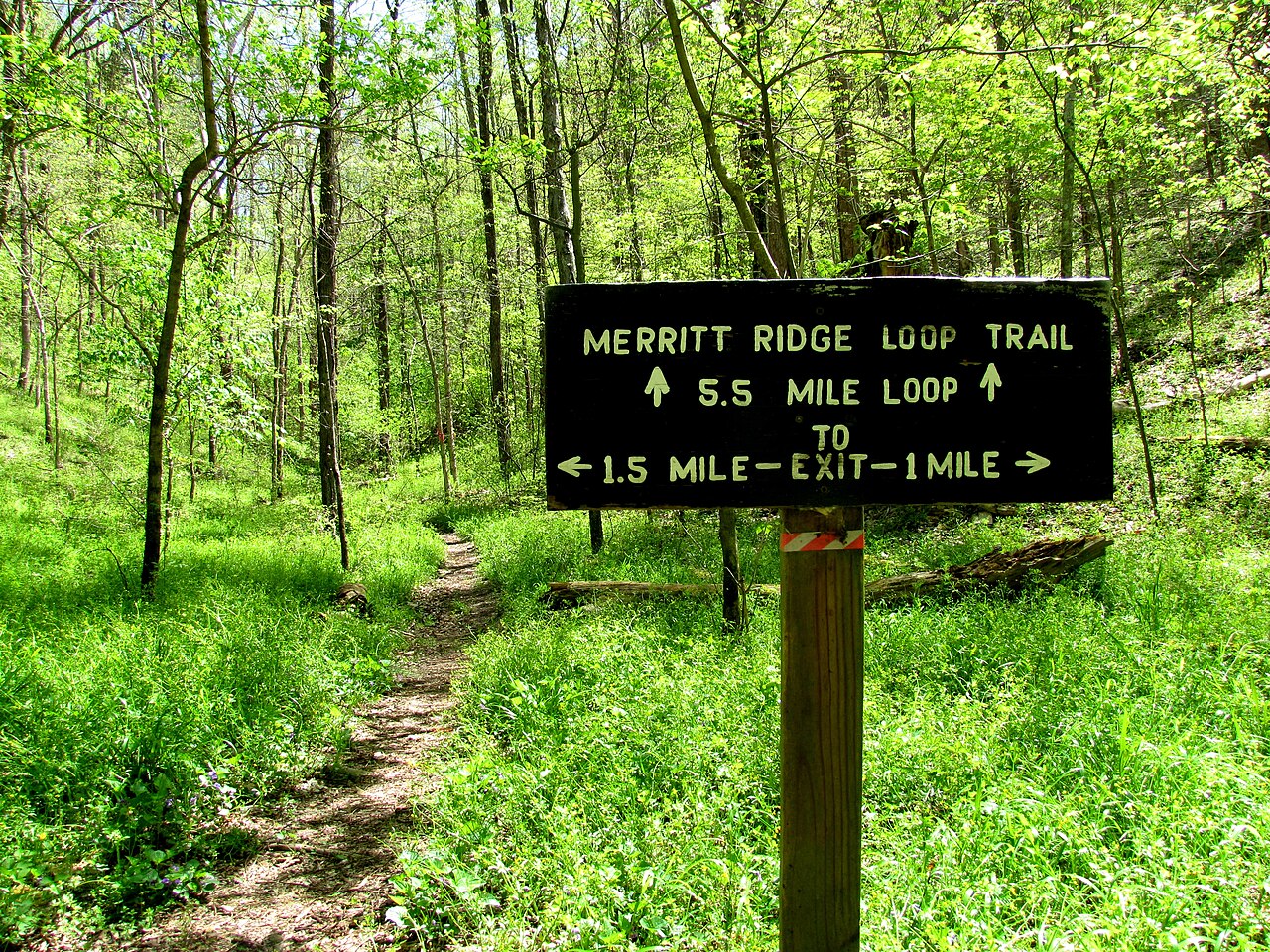 Edgar Evins State Park