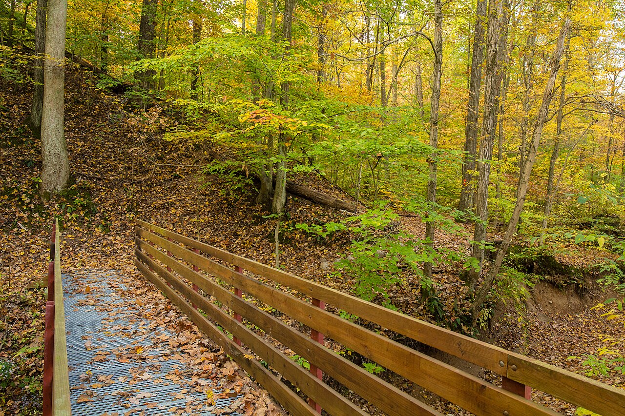Mississippi River Campground