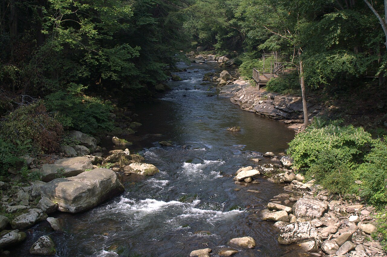 Savage River State Forest