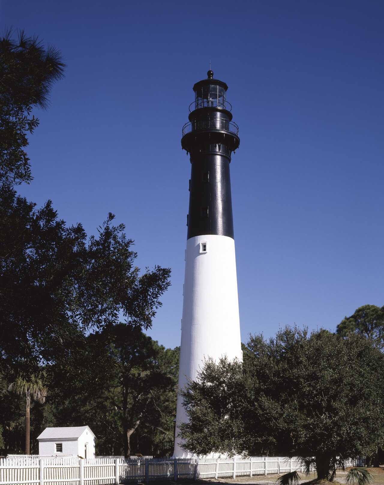 Wikimedia Commons