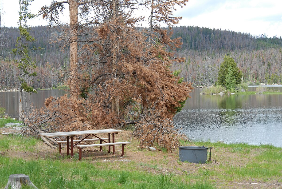 Park Lake Campground