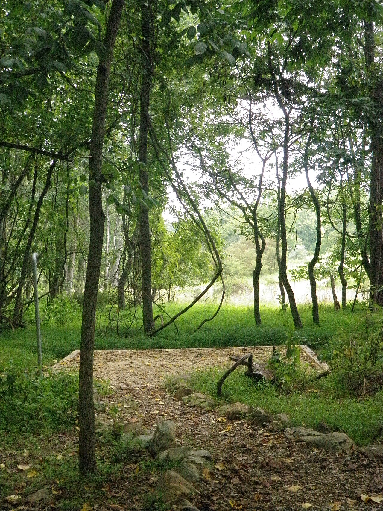 Backcountry Hike-In Campground