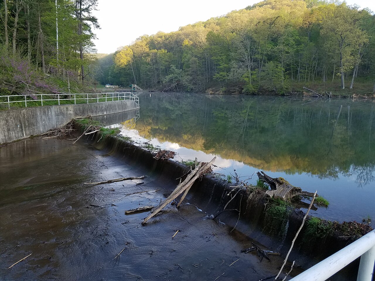 Tar Hollow Campground