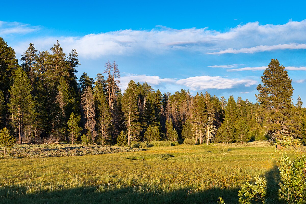 Mud Creek Campground