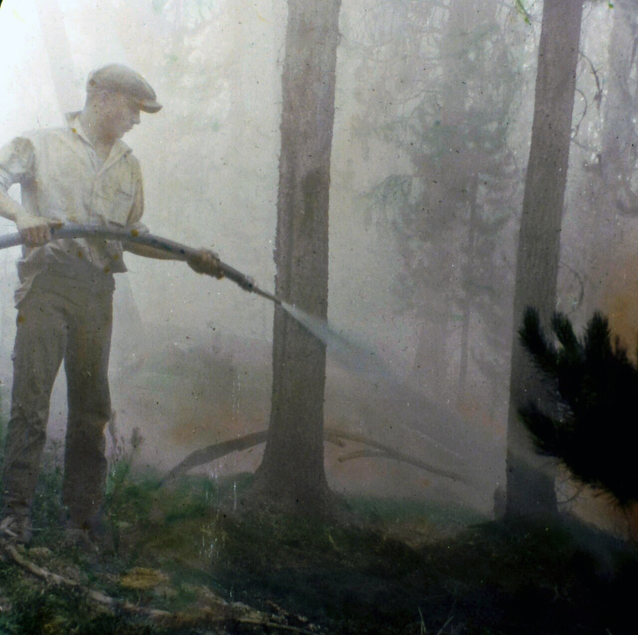 Lake Ellen West Campground