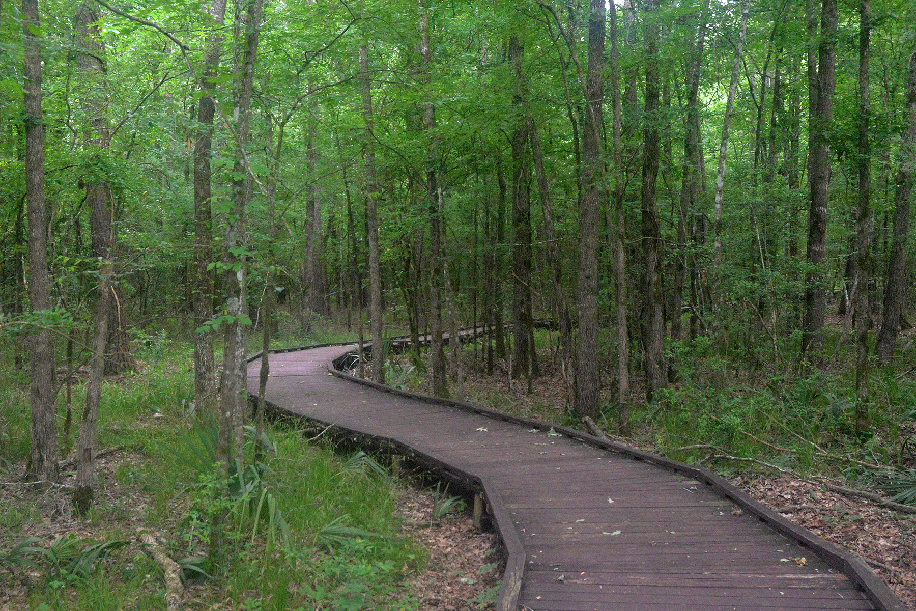 Lake Livingston State Park