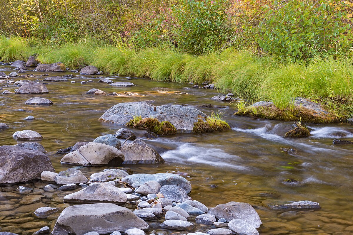 Tollbridge Campground
