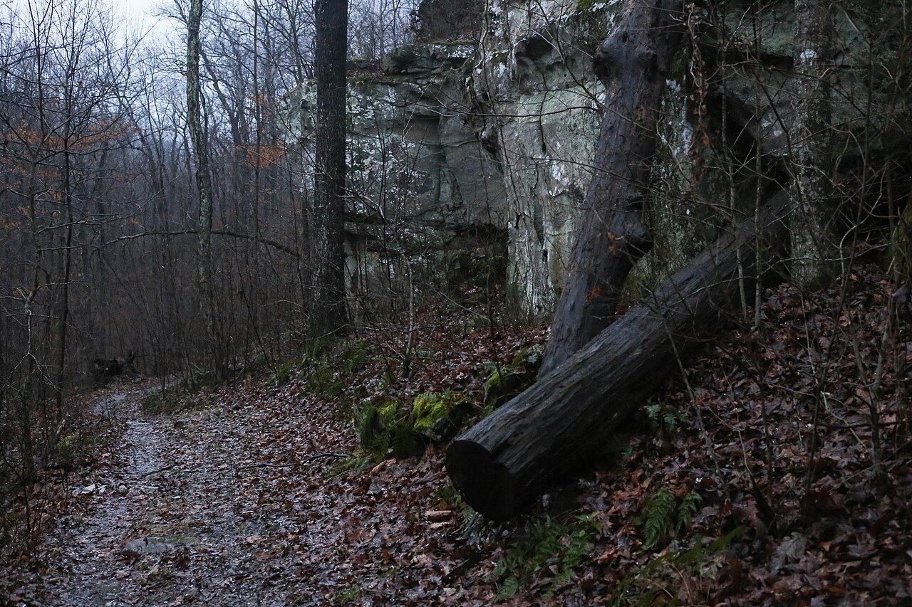 Wikimedia Commons