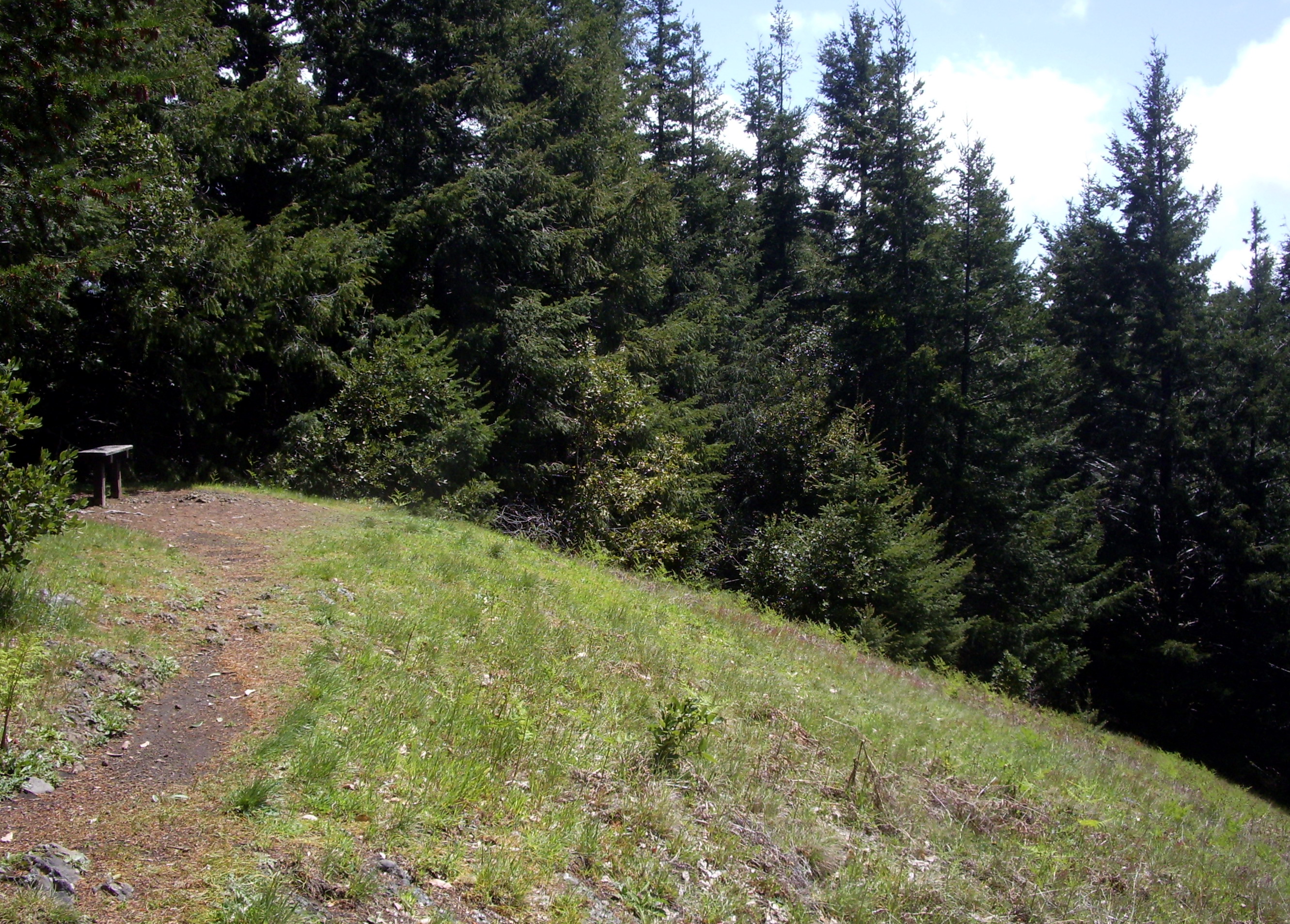 Humbug Mountain State Park