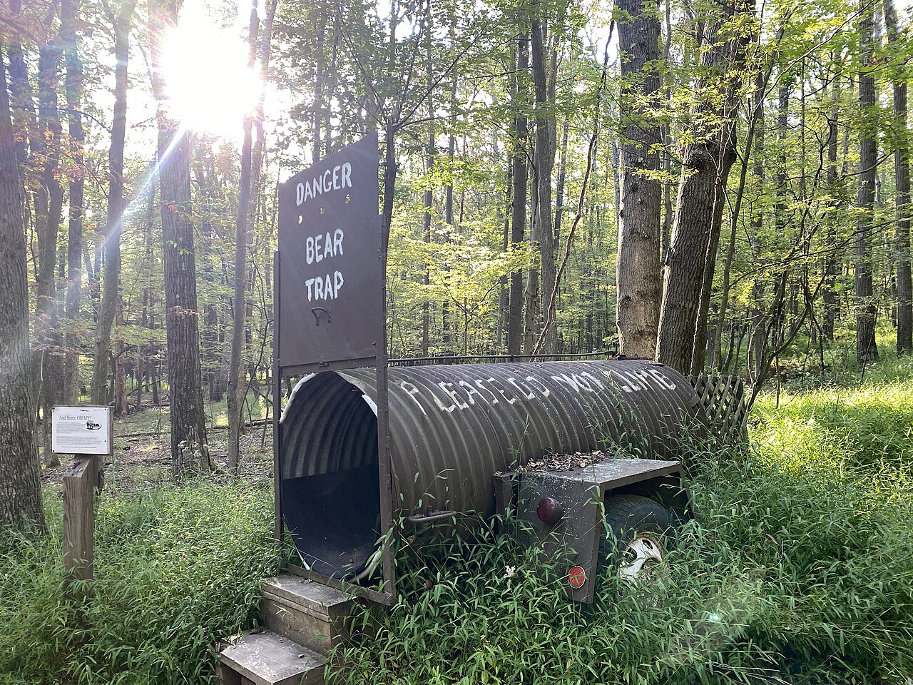 Deep Creek Lake State Park