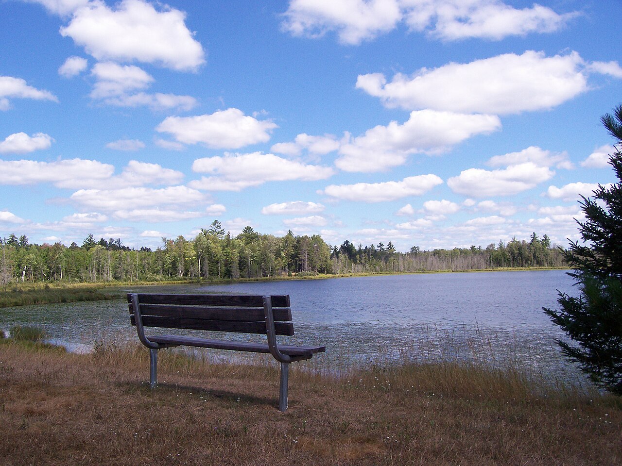 Wikimedia Commons