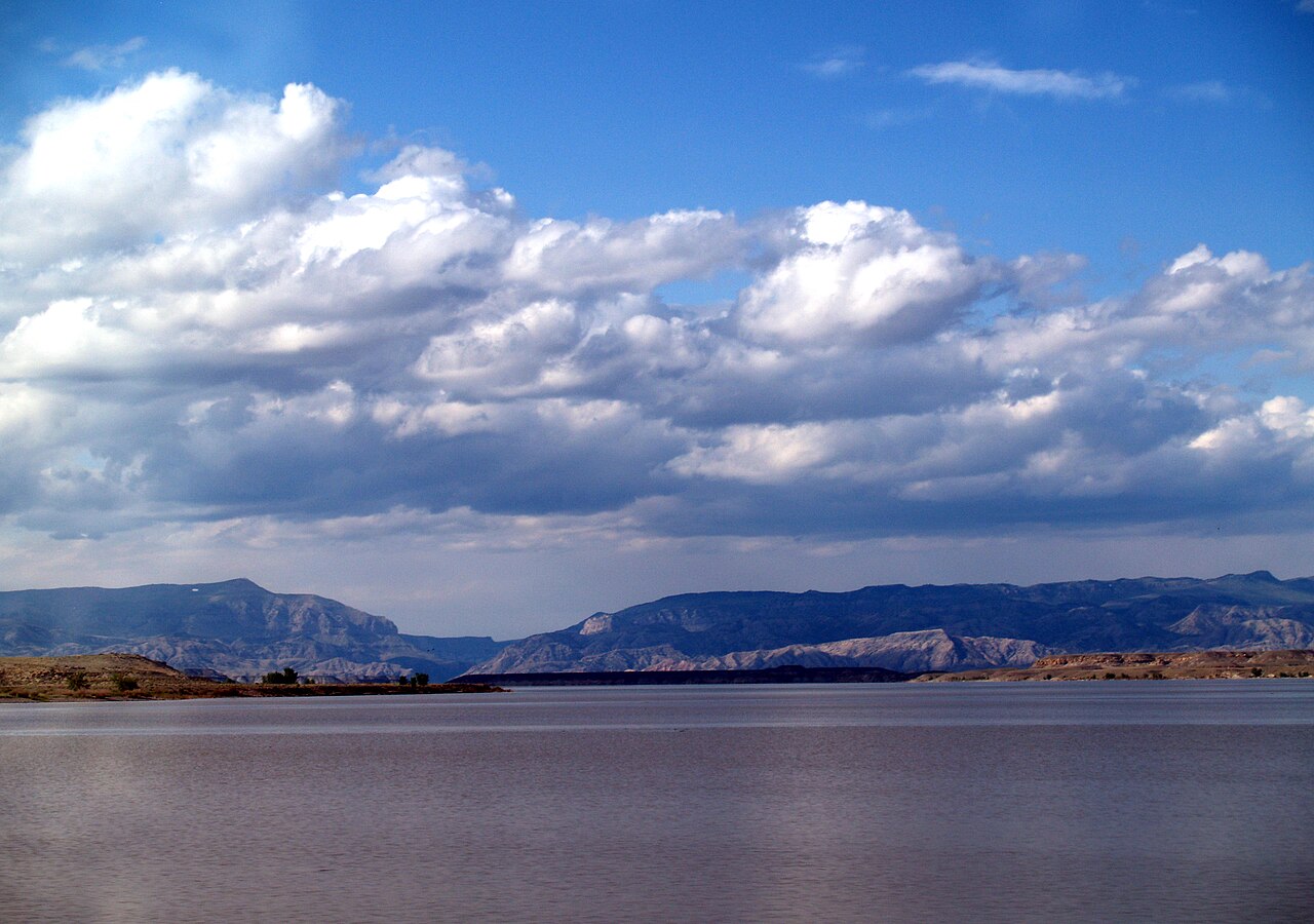 Wikimedia Commons