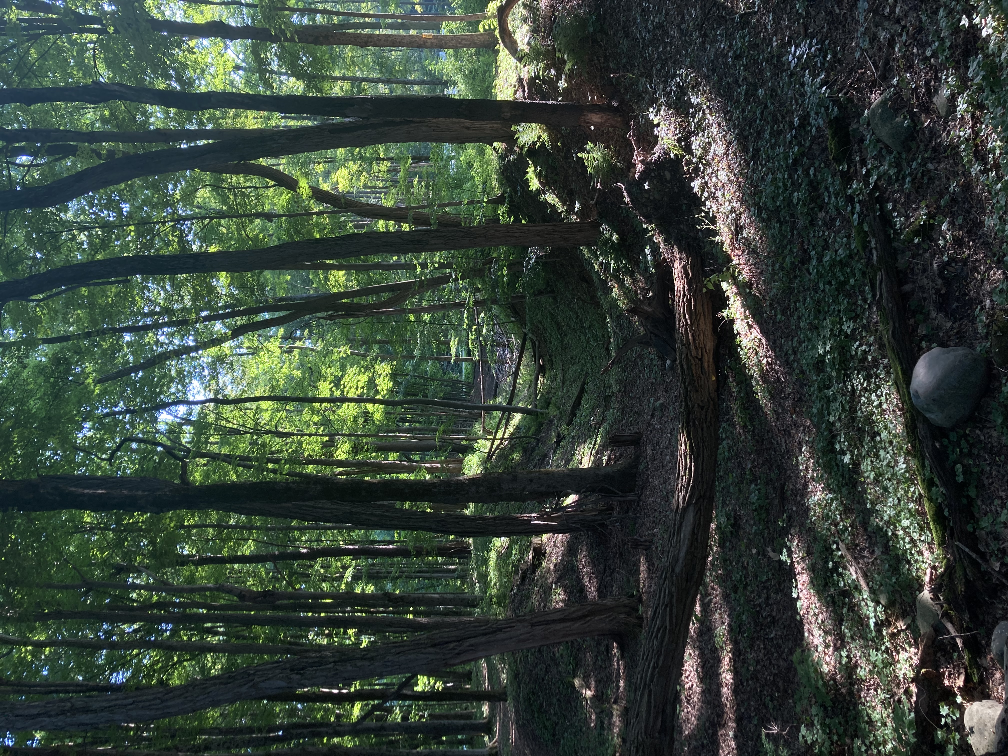 Delta Lake State Park