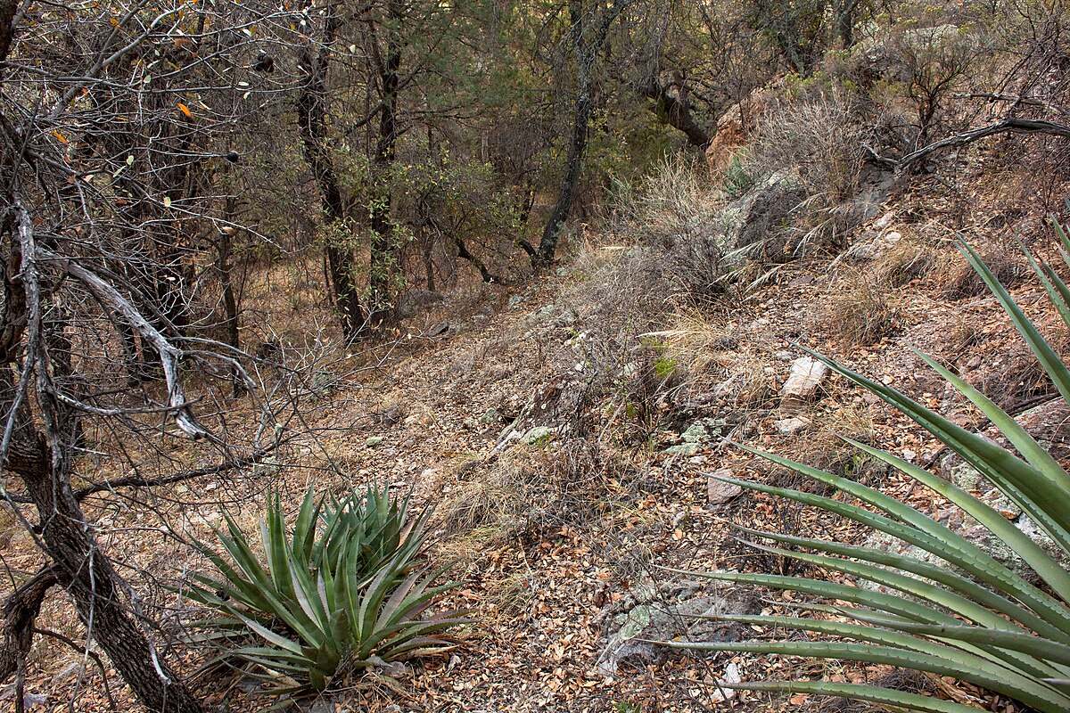 Sunny Flat Campground