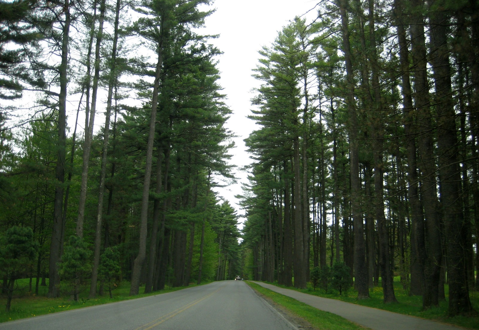 Saratoga Spa State Park