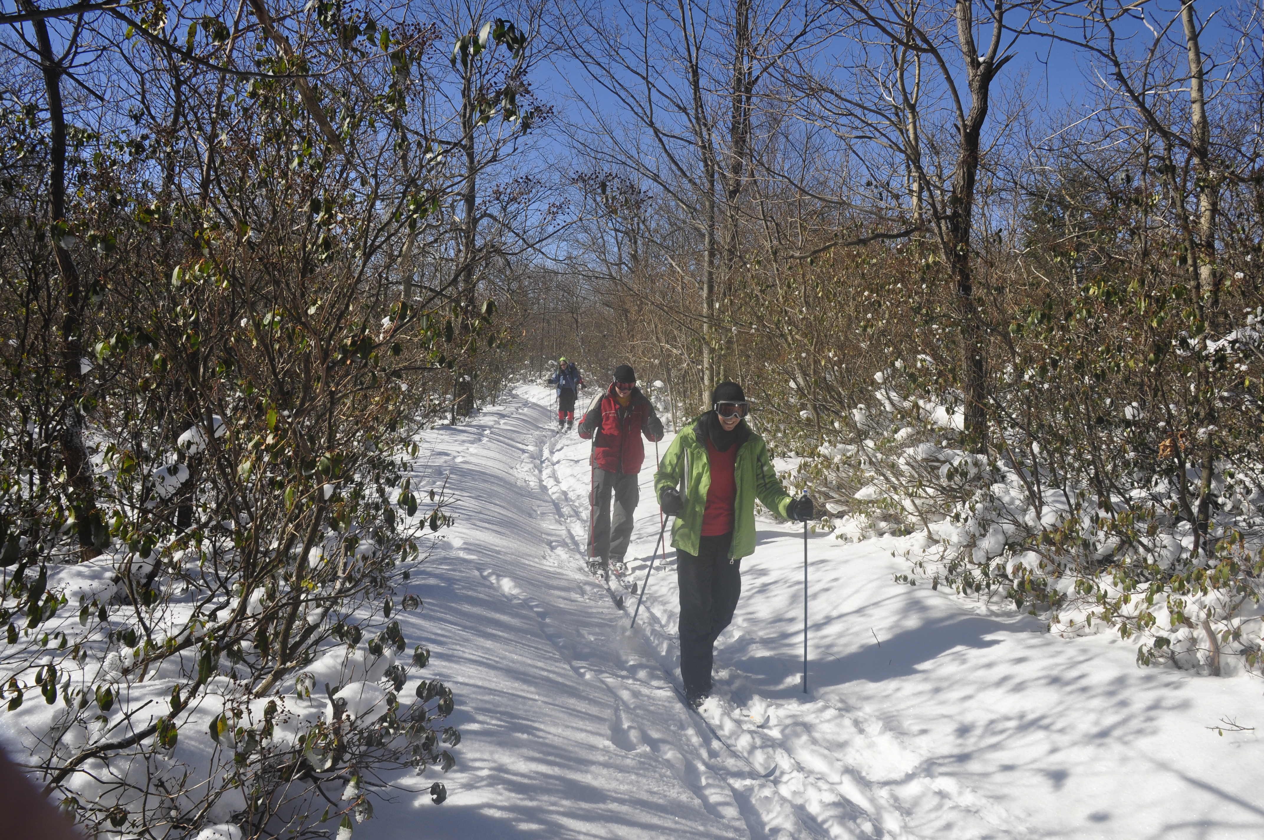 Forbes State Forest