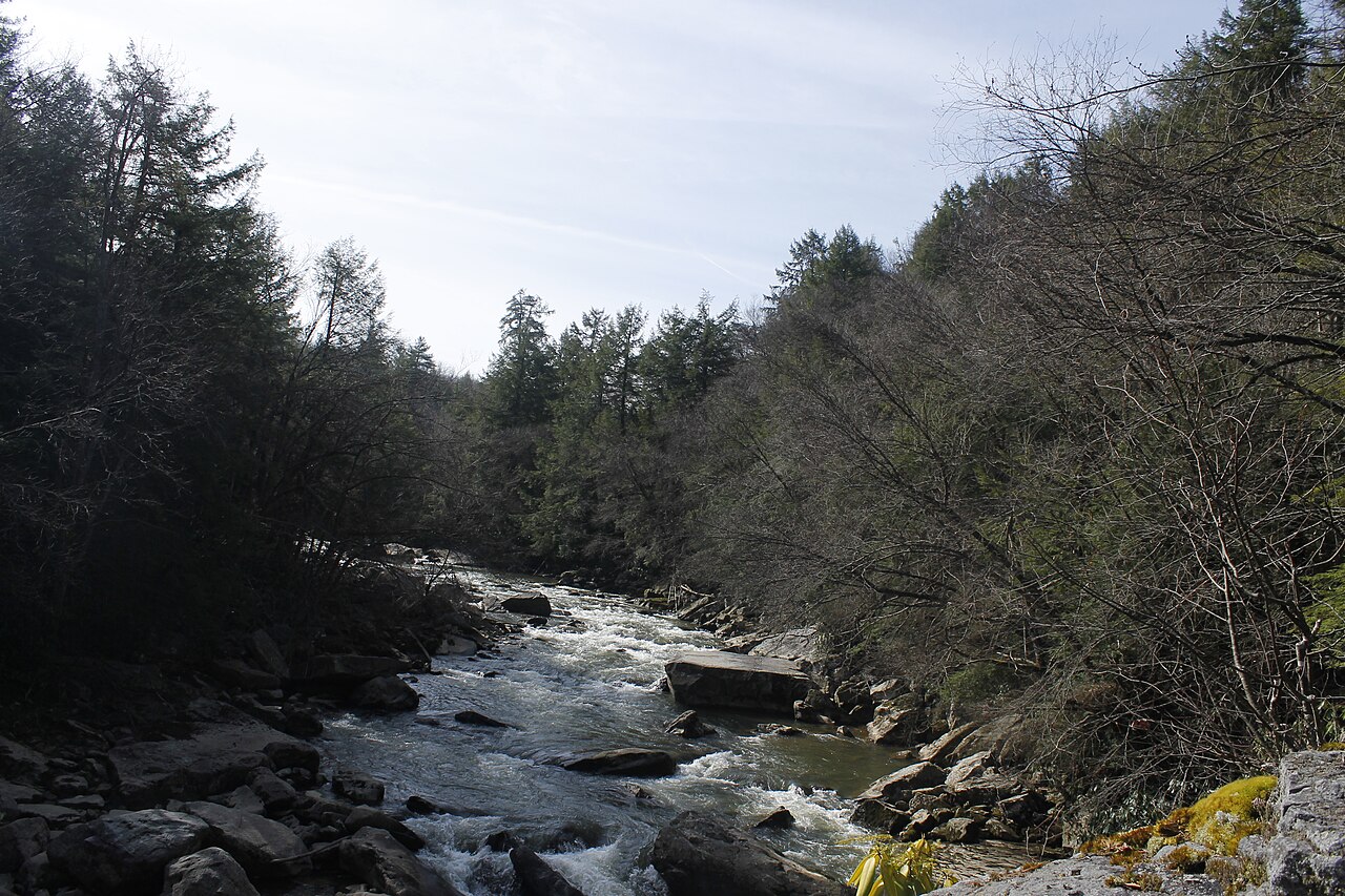 Swallow Falls State Park