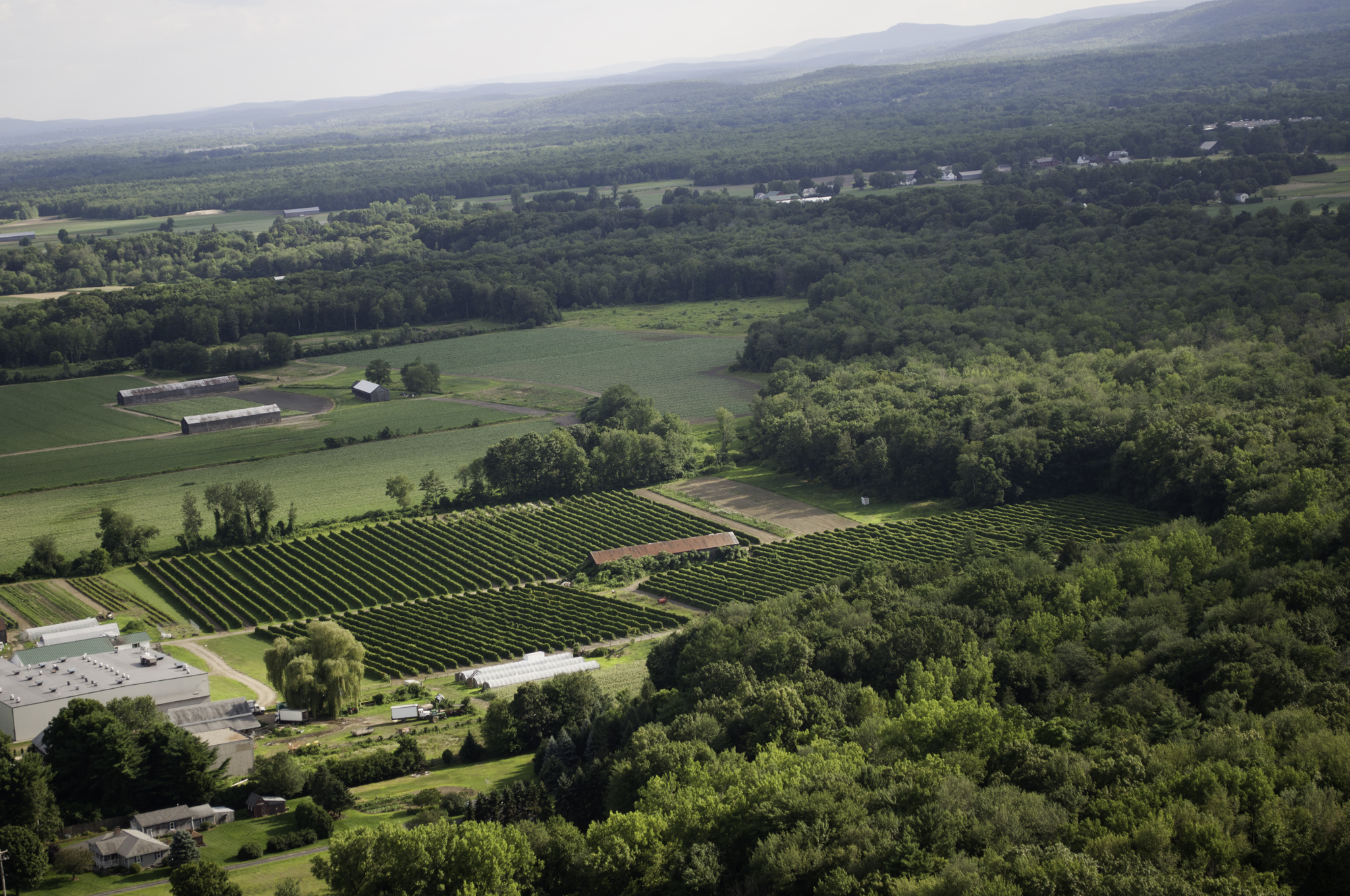 Mt. Sugarloaf State Reservation