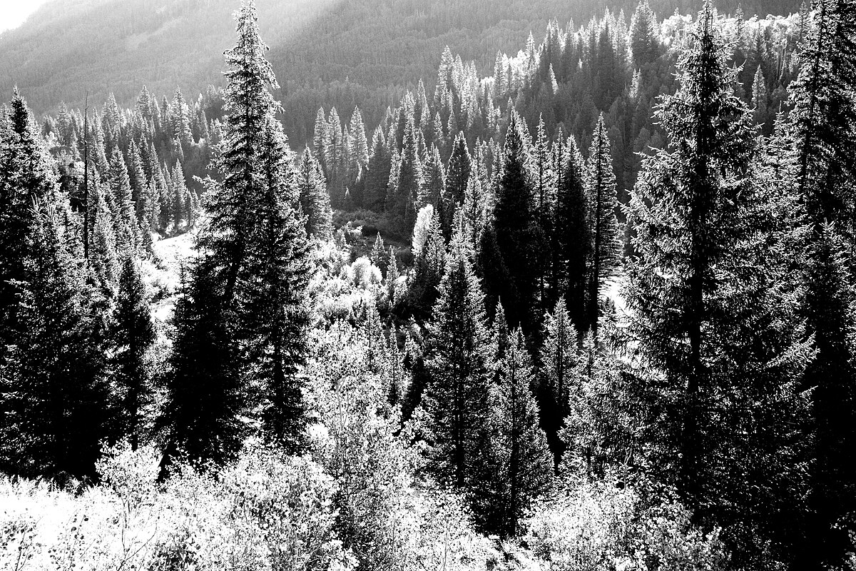 Stunner Campground