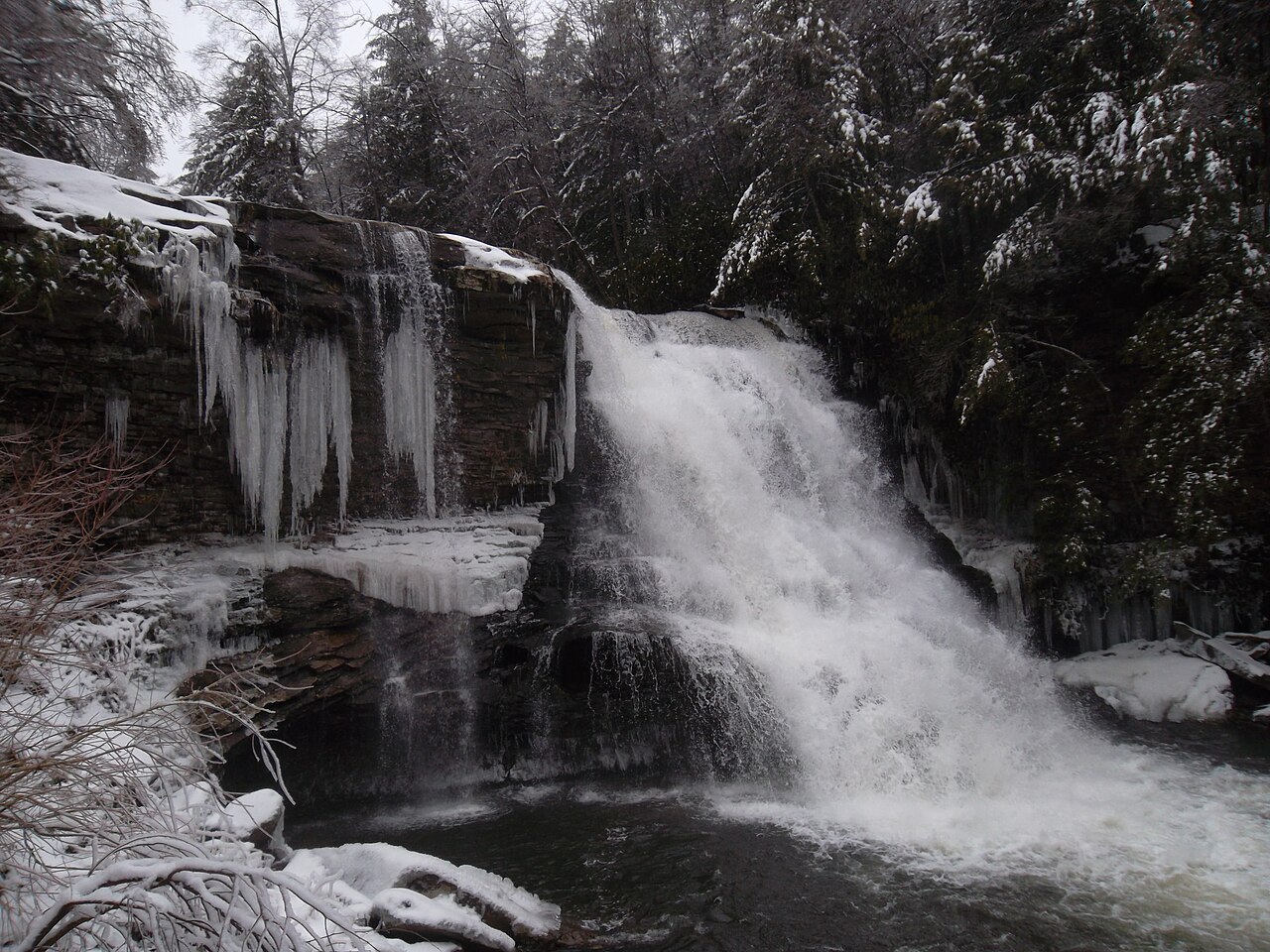 Wikimedia Commons