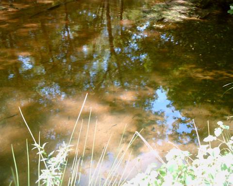 Belmont Lake State Park