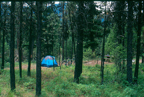 Pine Campground