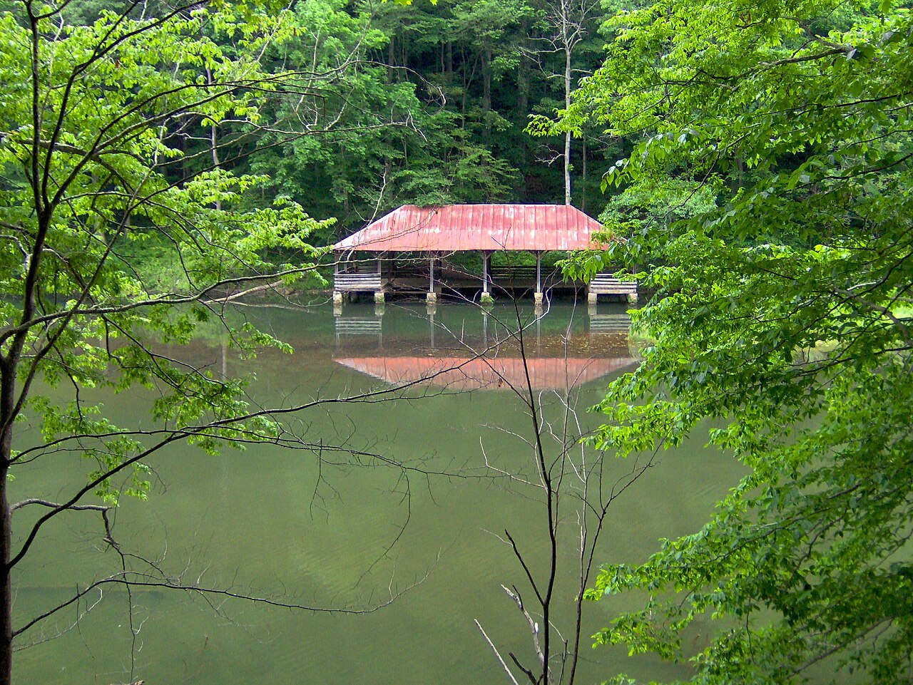 Wikimedia Commons