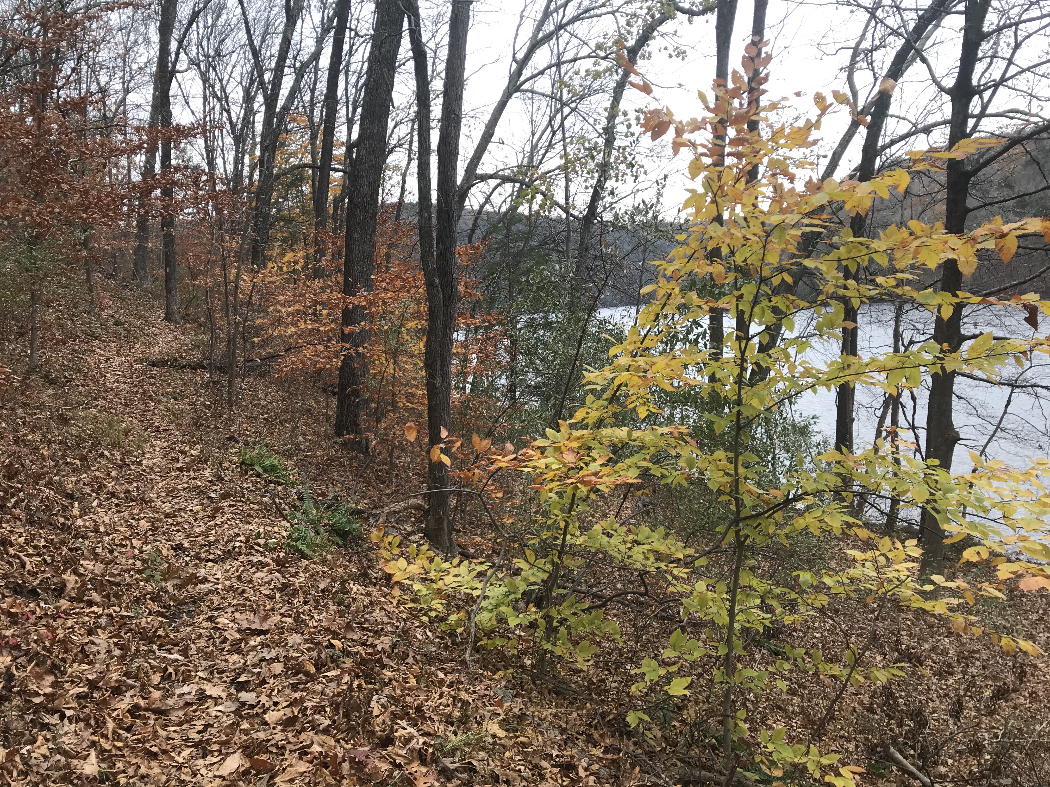 Kettletown State Park