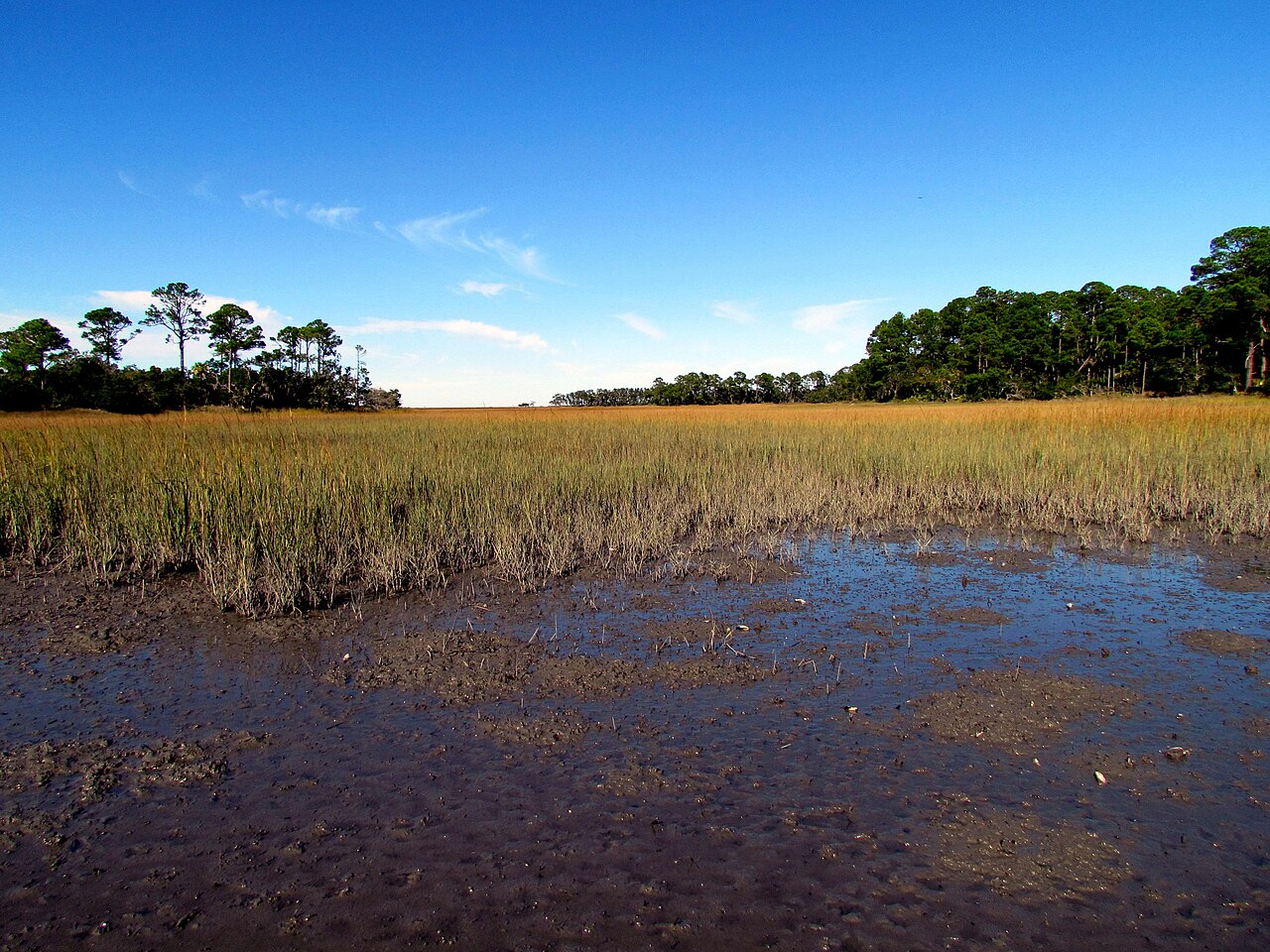 Hunting Island State Park