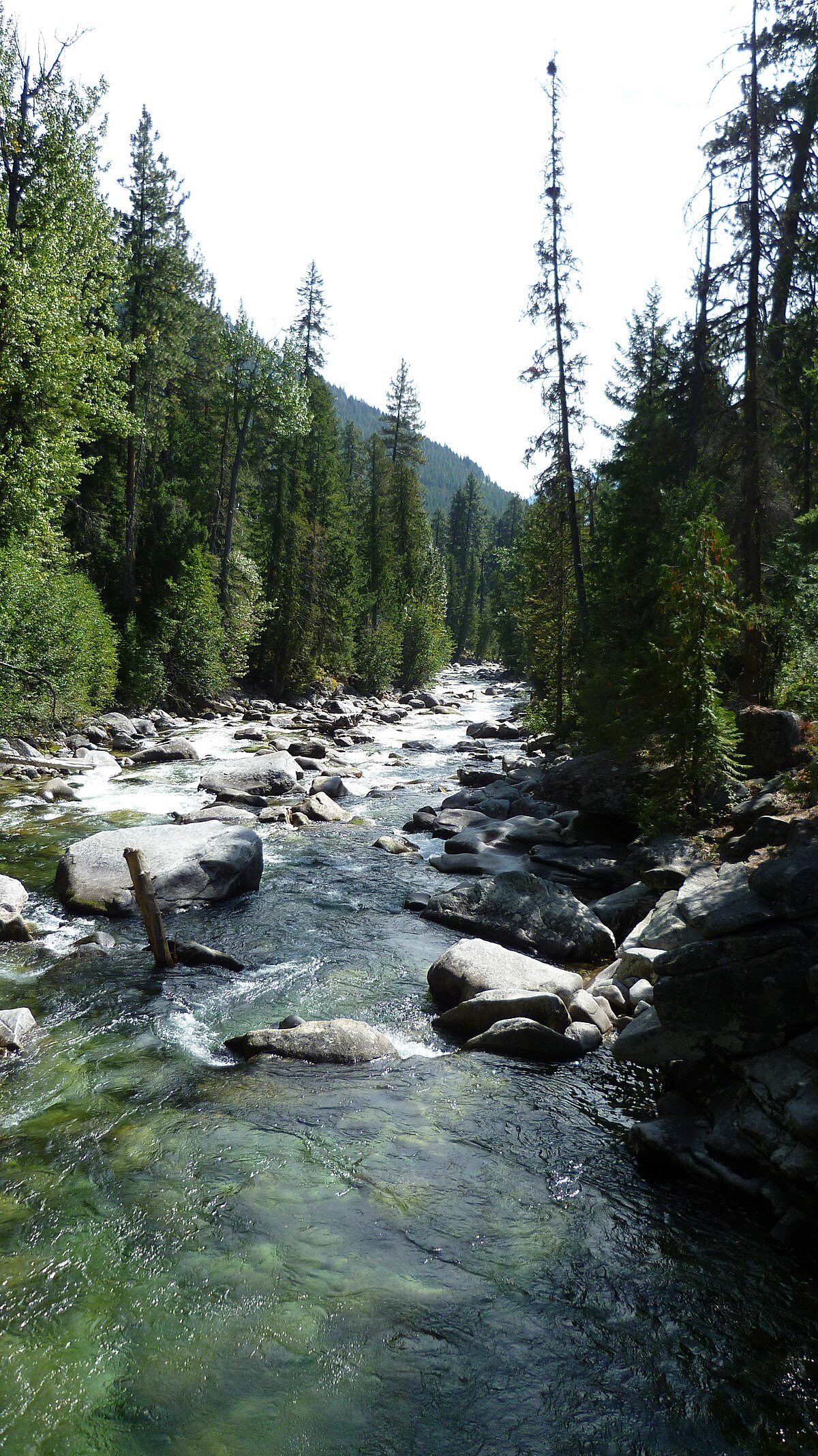 Fox Creek Campground