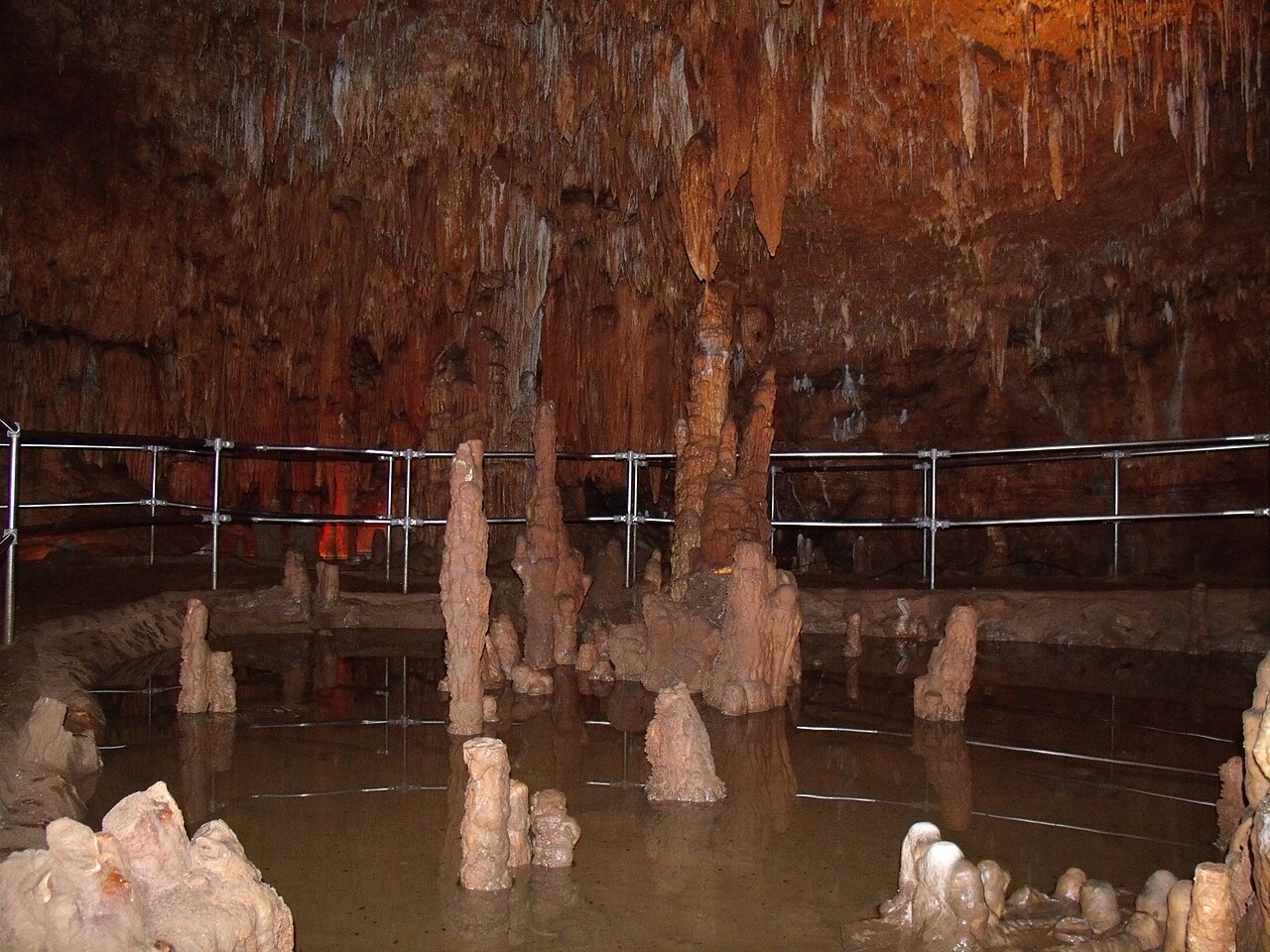 Wikimedia Commons