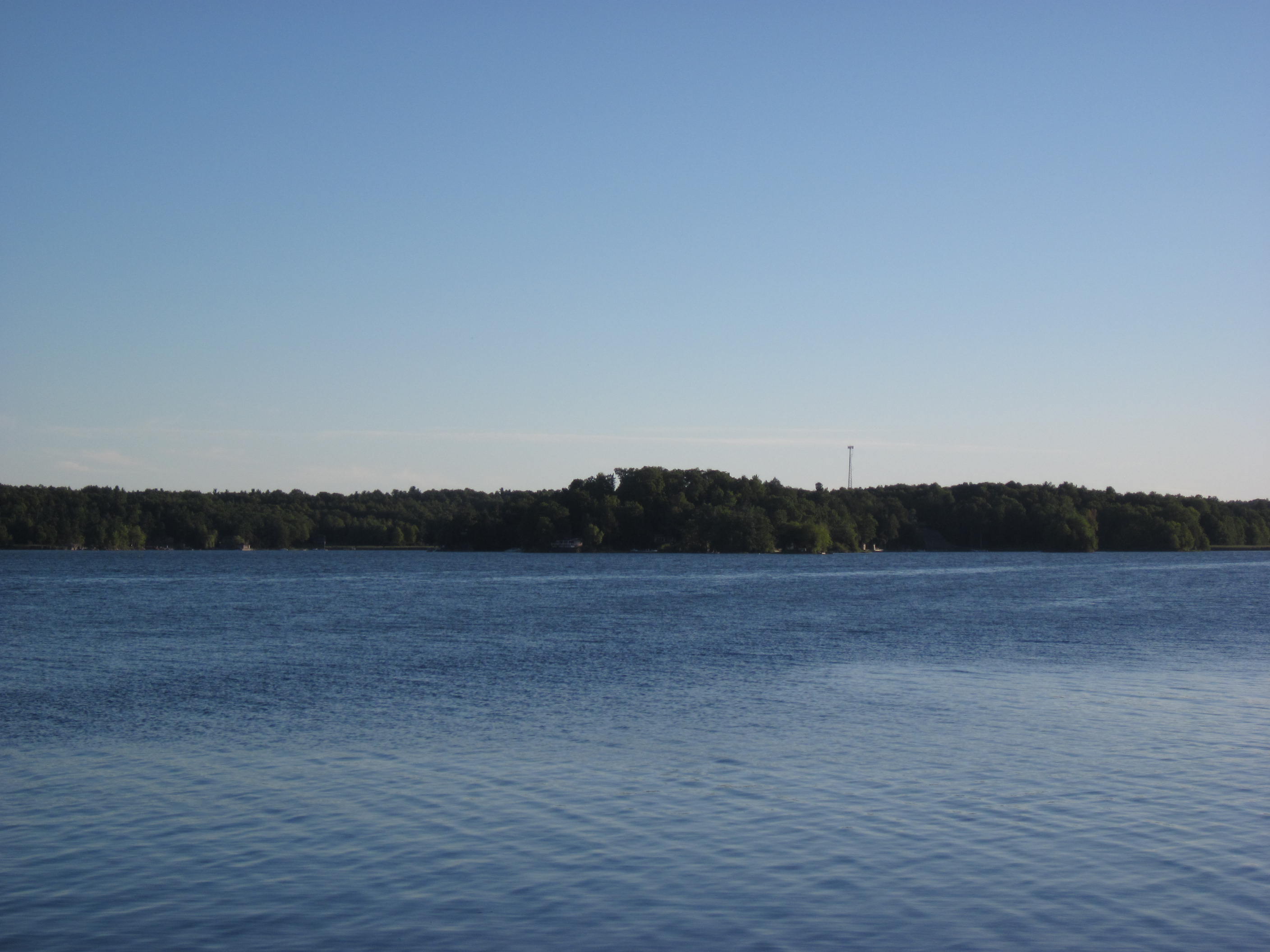 Wikimedia Commons