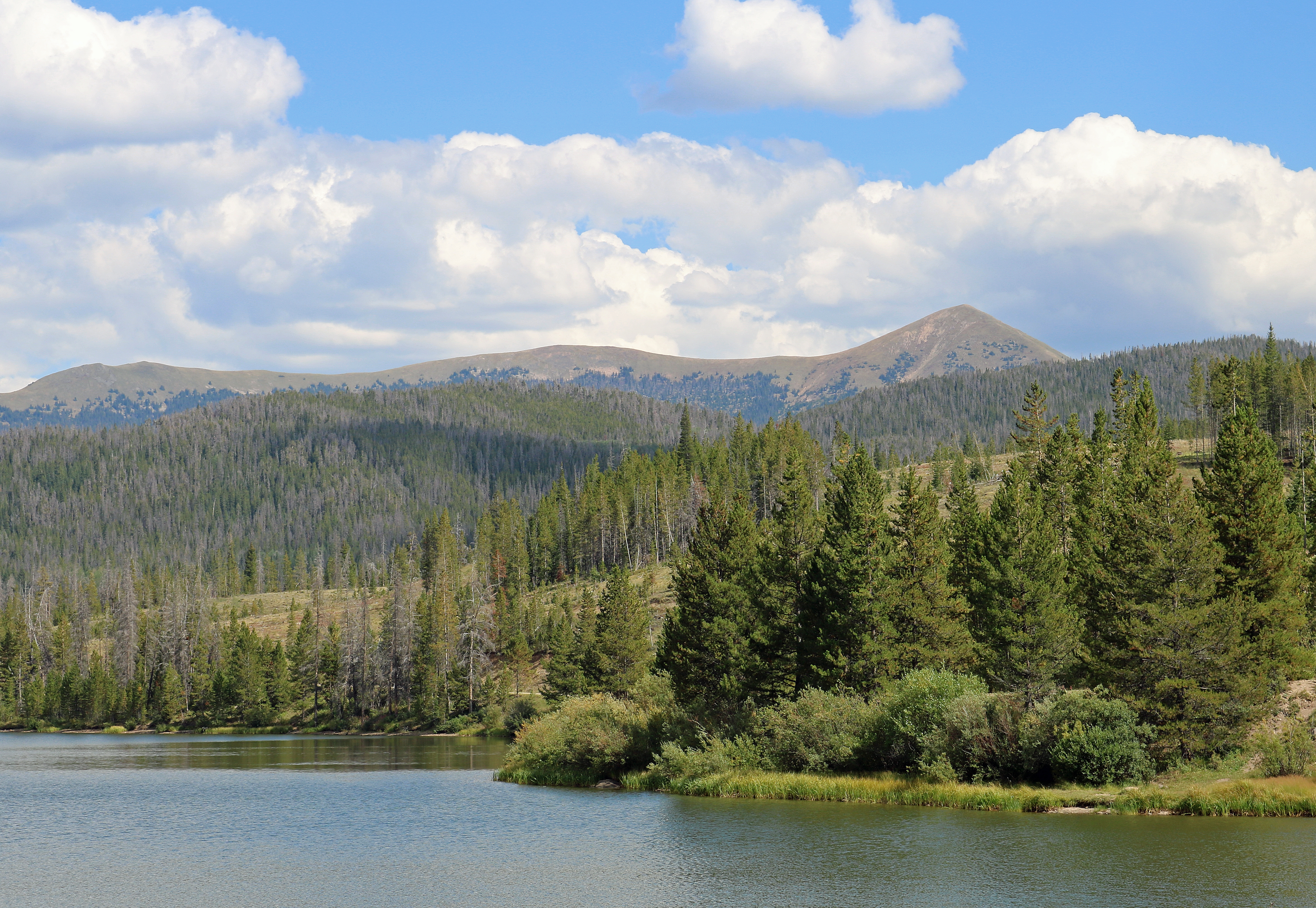 State Forest State Park