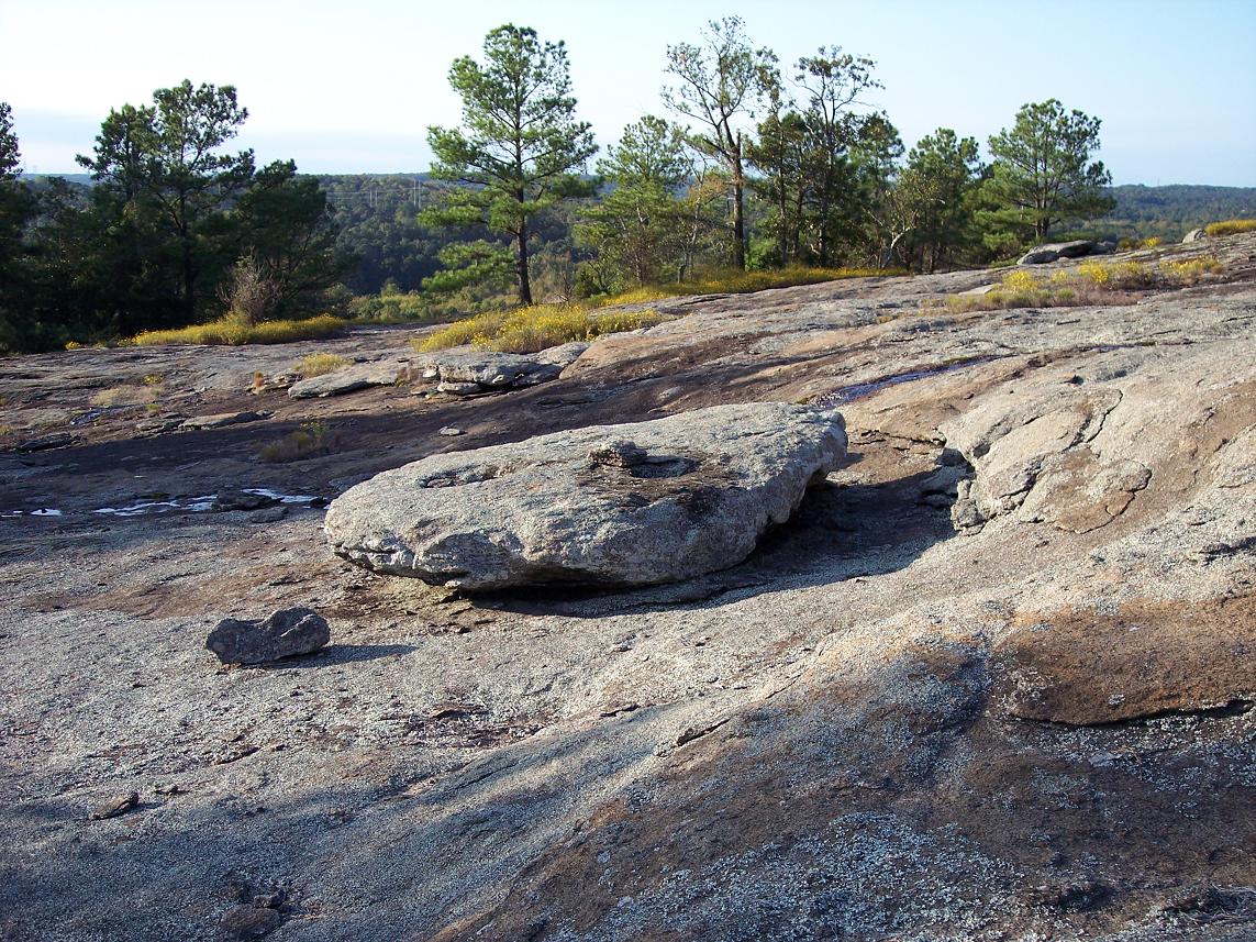Panola Mountain State Park