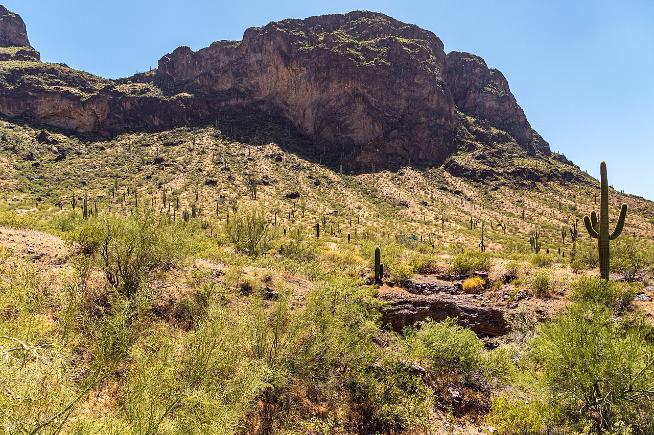 Campground B Loop