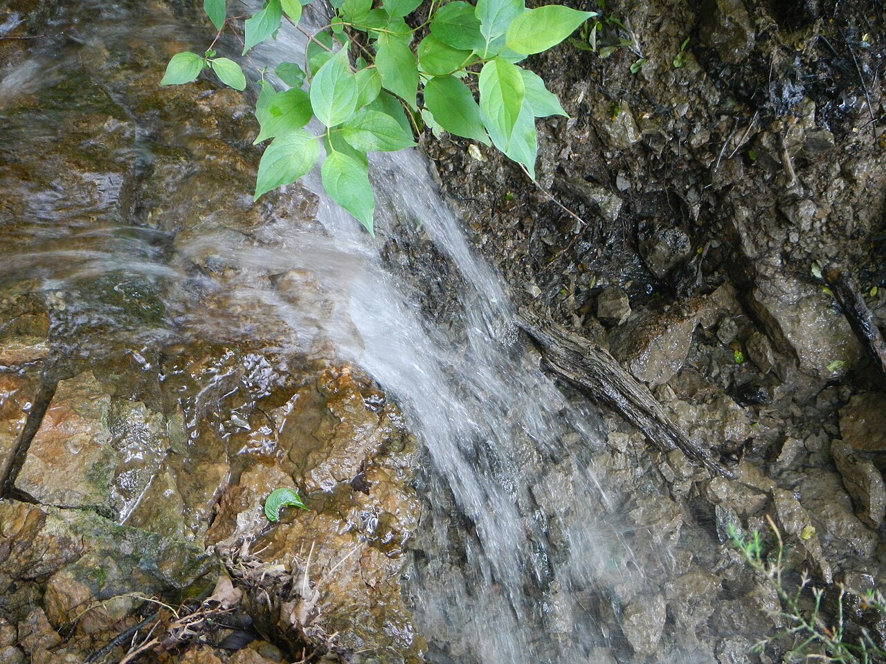 Kickapoo Campground