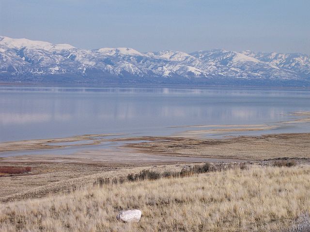 Wikimedia Commons
