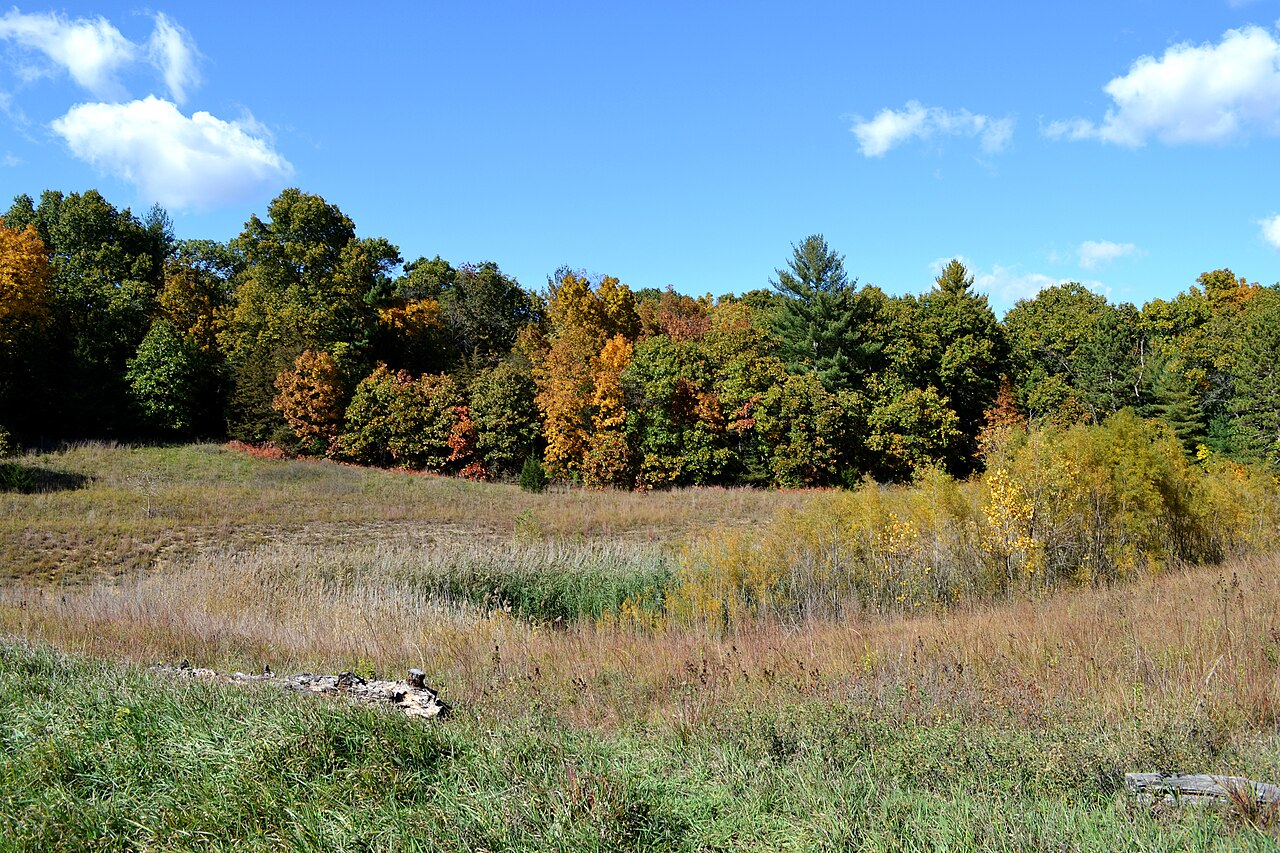 Sand Ridge State Forest Campground