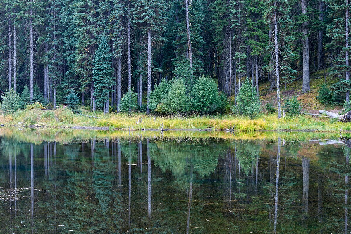 Trout Farm Campground